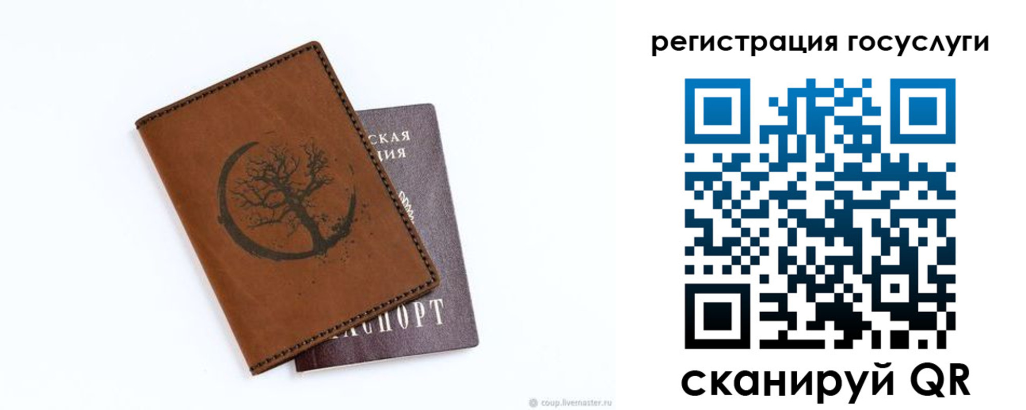 прописка для школы в Петропавловске-Камчатском